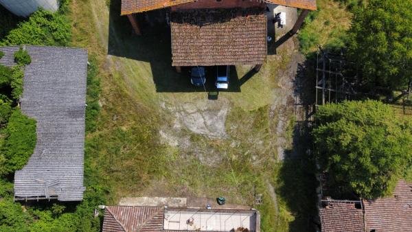 Piccoli passi, puliamo l'aia