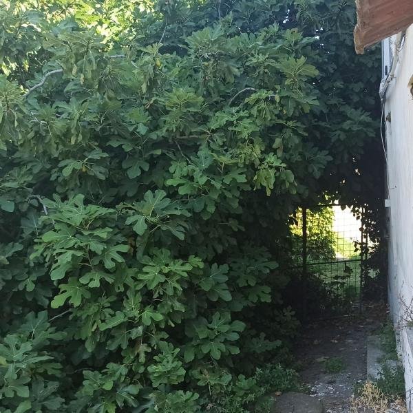 La porta